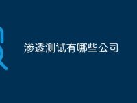 渗透测试有哪些公司-路由网