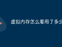 虚拟内存怎么看用了多少-路由网