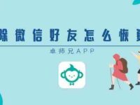 微信删除的好友怎么找回 找回微信好友最有效的4个小妙招-路由网