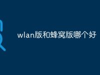 wlan版和蜂窝版哪个好-路由网