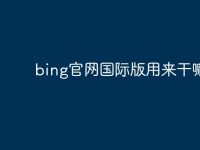 bing官网国际版用来干嘛的-路由网
