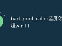 bad_pool_caller蓝屏怎么处理win11-路由网