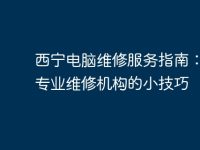 西宁电脑维修服务指南:选择专业维修机构的小技巧-路由网