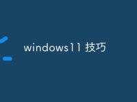windows11 技巧-路由网
