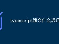 typescript适合什么项目-路由网