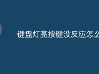 键盘灯亮按键没反应怎么回事-路由网
