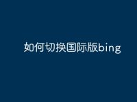 如何切换国际版bing-路由网