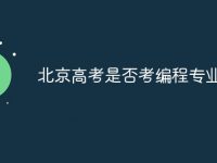 北京高考是否考编程专业-路由网