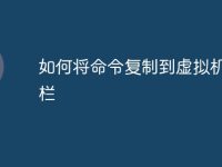 如何将命令复制到虚拟机命令栏-路由网