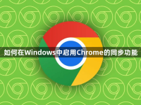 如何在Windows中启用Chrome的同步功能-路由网