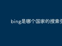 bing是哪个国家的搜索引擎-路由网
