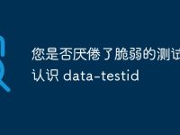 您是否厌倦了脆弱的测试?来认识 data-testid-路由网