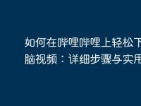 如何在哔哩哔哩上轻松下载电脑视频:详细步骤与实用技巧-路由网