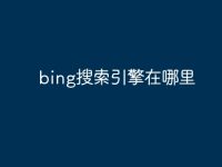 bing搜索引擎在哪里-路由网