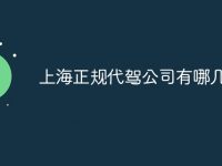 上海正规代驾公司有哪几家-路由网