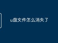 u盘文件怎么消失了-路由网