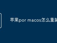 苹果por macos怎么重装-路由网
