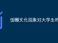 饭圈文化现象对大学生的影响-路由网