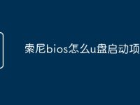 索尼bios怎么u盘启动项-路由网