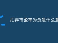 扣非市盈率为负是什么意思-路由网