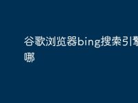谷歌浏览器bing搜索引擎在哪-路由网