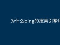 为什么bing的搜索引擎用不了-路由网