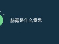 脑雾是什么意思-路由网