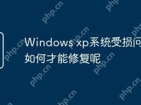 Windows xp系统受损问题 要如何才能修复呢-路由网