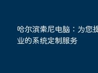哈尔滨索尼电脑:为您提供专业的系统定制服务-路由网