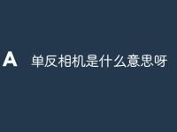 单反相机是什么意思呀-路由网