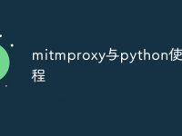 mitmproxy与python使用教程-路由网