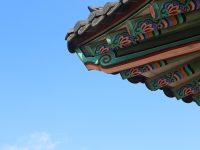 nginx是什么东西-路由网