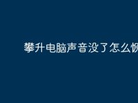 攀升电脑声音没了怎么恢复?-路由网