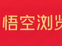 悟空浏览器在线官网入口-路由网