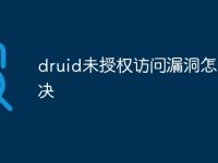druid未授权访问漏洞怎么解决-路由网