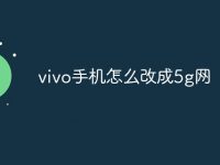 vivo手机怎么改成5g网-路由网