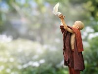 短剧授权通过后怎么在抖音发布-路由网