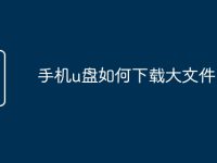 手机u盘如何下载大文件-路由网