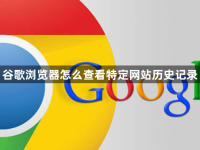 谷歌浏览器怎么查看特定网站历史记录-路由网