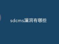 sdcms漏洞有哪些-路由网