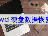 wd硬盘数据恢复,数据恢复有妙招-路由网