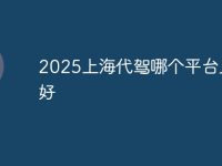 2025上海代驾哪个平台比较好-路由网