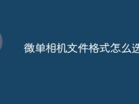 微单相机文件格式怎么选-路由网