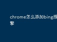 chrome怎么添加bing搜索引擎-路由网