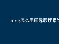 bing怎么用国际版搜索论文-路由网