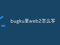 bugku里web2怎么写-路由网