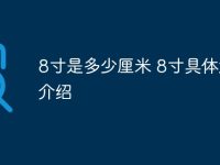 8寸是多少厘米 8寸具体大小介绍-路由网