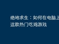绝地求生：如何在电脑上掌握这款热门吃鸡游戏-路由网
