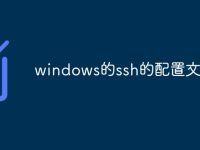 windows的ssh的配置文件-路由网
