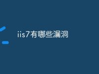 iis7有哪些漏洞-路由网
